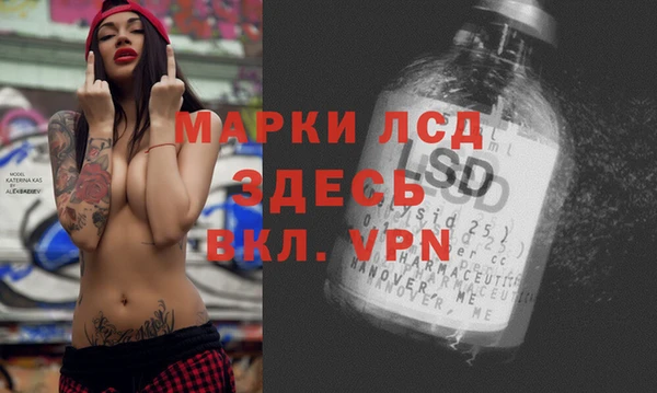 ECSTASY Алзамай
