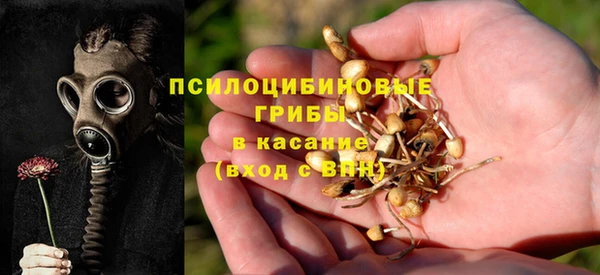 PSILOCYBIN Абдулино