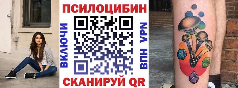 Галлюциногенные грибы Psilocybine cubensis  купить наркоту  Беломорск 