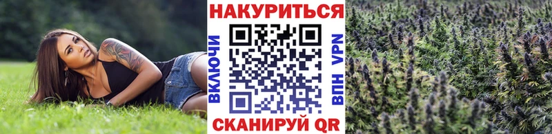 Конопля OG Kush  закладка  Беломорск 